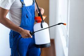 Best Residential Pest Control  in Melcher Dallas, IA